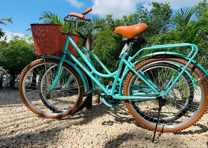 Vida Jungle Boho 13 With Special Fee To Access Bardo *