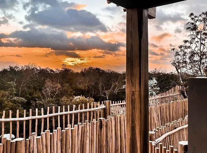 Vida Jungle Boho 13 With Special Fee To Access Bardo Apartment