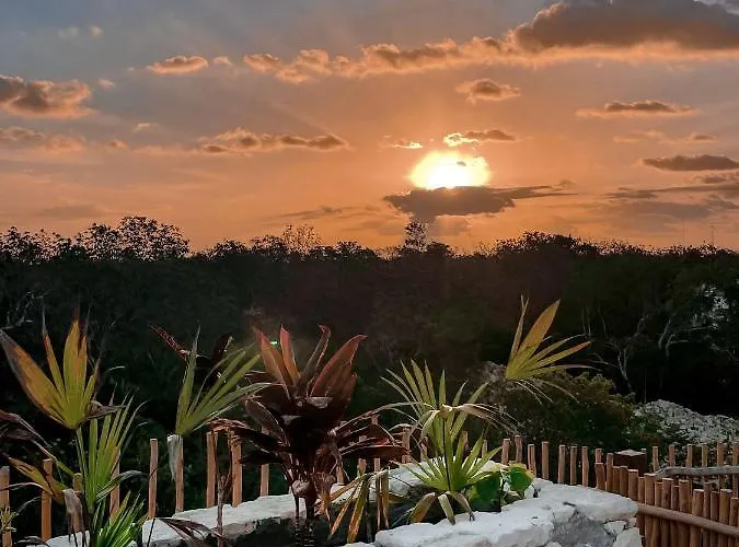 Vida Jungle Boho 13 With Special Fee To Access Bardo Apartment *