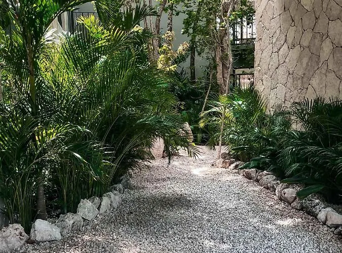 Vida Jungle Boho 13 With Special Fee To Access Bardo Tulum