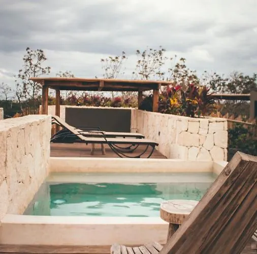 Vida Jungle Boho 13 With Special Fee To Access Bardo Apartment Tulum
