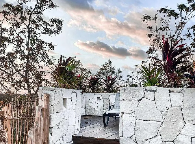 Vida Jungle Boho 13 With Special Fee To Access Bardo *