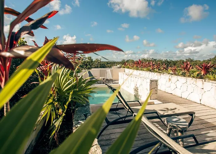 Vida Jungle Boho 13 With Special Fee To Access Bardo Apartment *