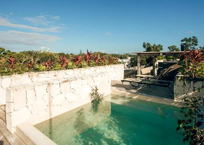 Vida Jungle Boho 13 With Special Fee To Access Bardo